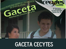GACETA