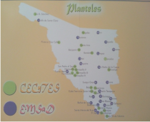 PLANTELES